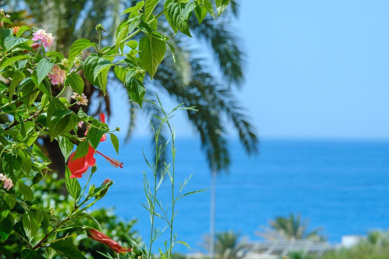 Beautiful Torreoceano 92, Pool, Beach Access 卡拉德米哈斯 外观 照片